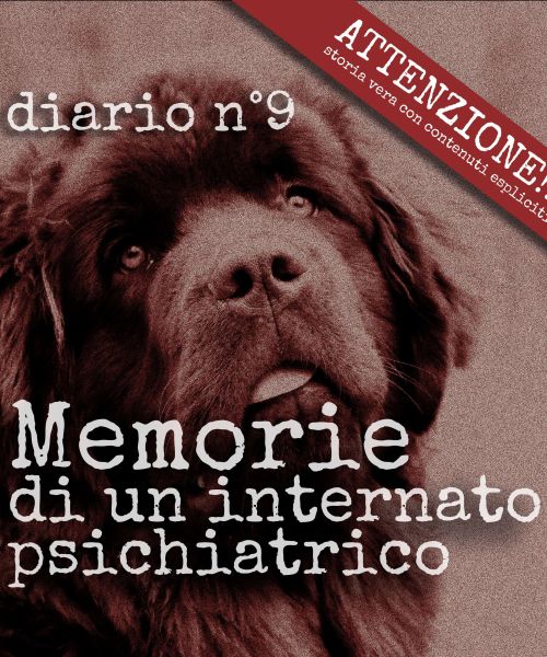 Diario n°9 - l'uccisione del cane del Direttore