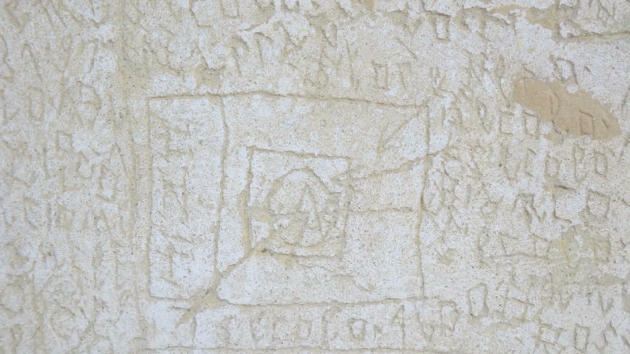 NOF di Elvira Macchiavelli - Manicomio di Volterra un fotogramma del video NOF di Elvira Macchiavelli
