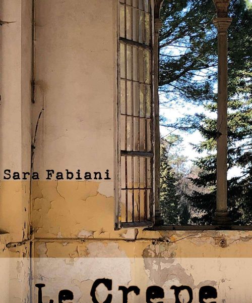 Manicomio di Volterra - Manicomio di Volterra Sara Fabiani Le crepe dellanima 0 1a9abfe5 - manicomio di volterra