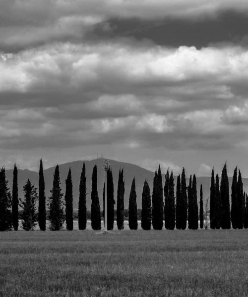Manicomio di Volterra - Manicomio di Volterra Il manicomio di Volterra nello spirito della città