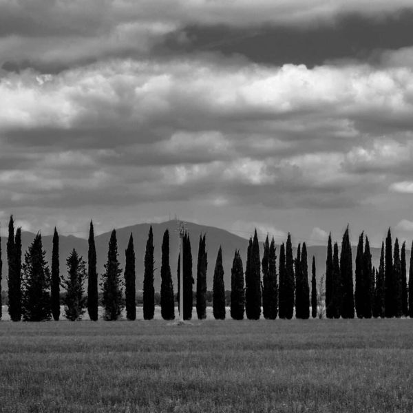 Viaggiatore astrale sbarca a Volterra - Manicomio di Volterra Il manicomio di Volterra nello spirito della città
